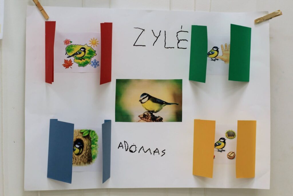 Vaikai mokosi pažinti Lietuvos paukščius - zylė