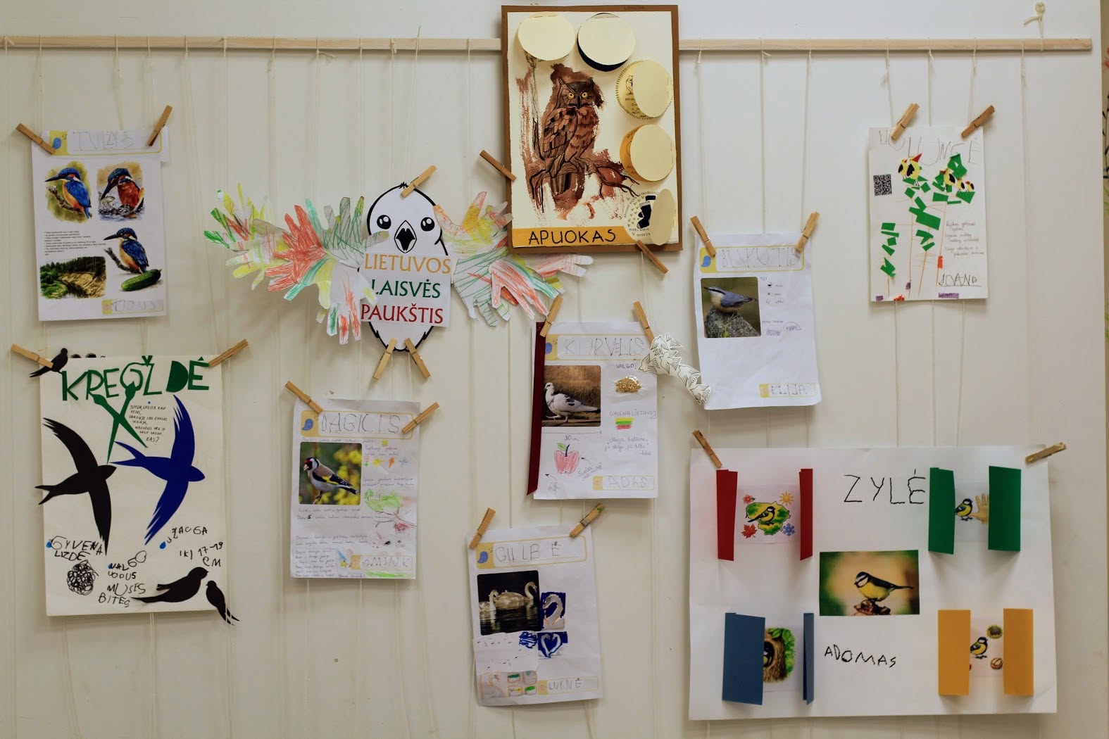 Tėvų ir vaikų kartu kurtas paukščių pažinimo projektas AGORA darželyje